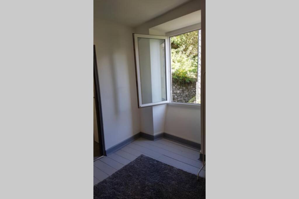 Foix Apartment Bagian luar foto