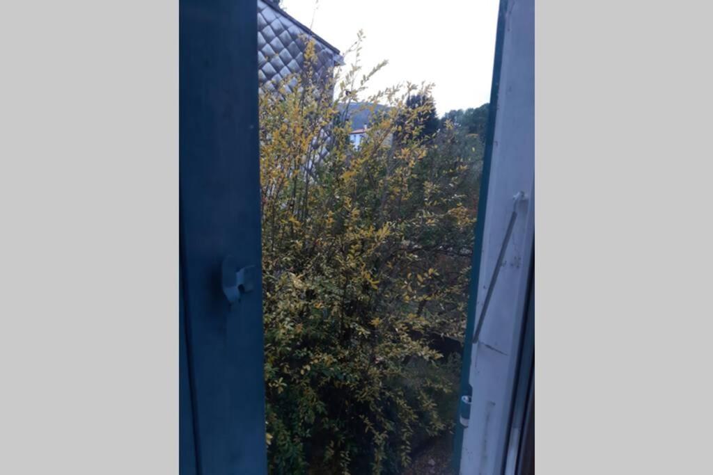 Foix Apartment Bagian luar foto